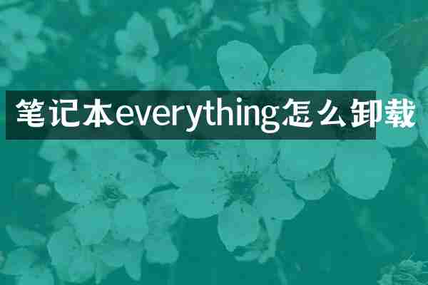 笔记本everything怎么卸载