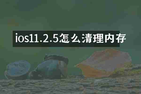 ios11.2.5怎么清理内存