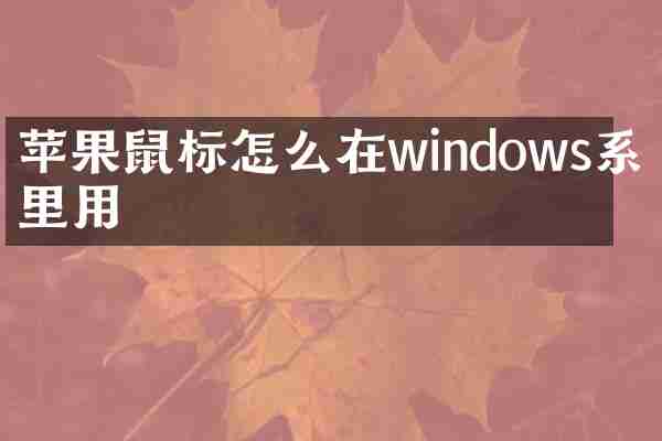 苹果鼠标怎么在windows系统里用