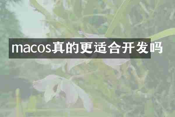macos真的更适合开发吗