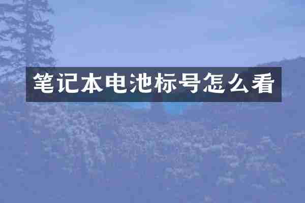 笔记本电池标号怎么看