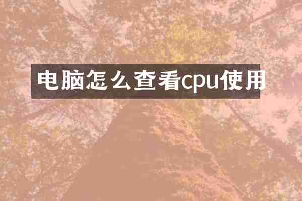 电脑怎么查看cpu使用