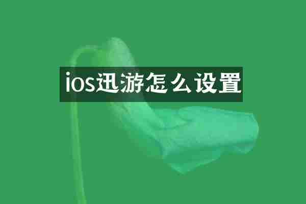 ios迅游怎么设置