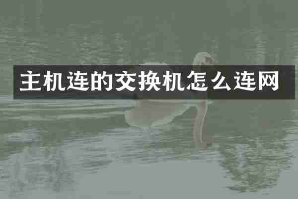 主机连的交换机怎么连网
