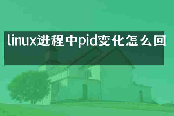 linux进程中pid变化怎么回事