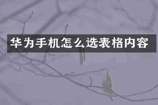 华为手机怎么选表格内容