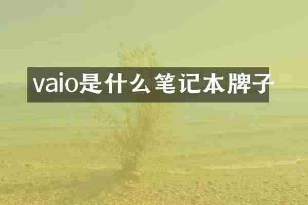 vaio是什么笔记本牌子