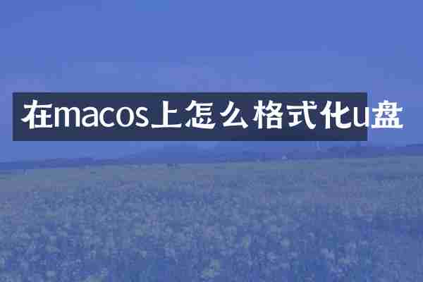 在macos上怎么格式化u盘