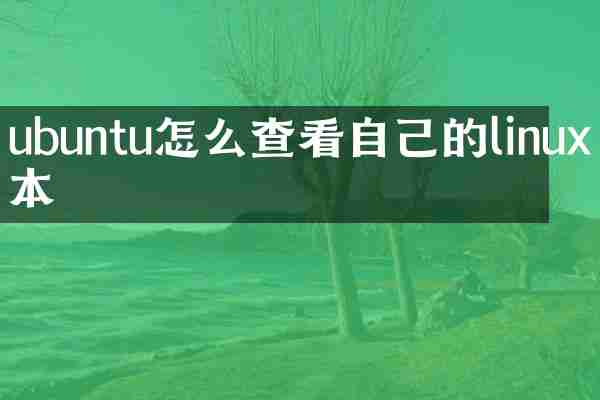ubuntu怎么查看自己的linux版本
