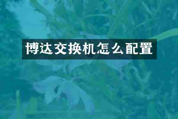博达交换机怎么配置