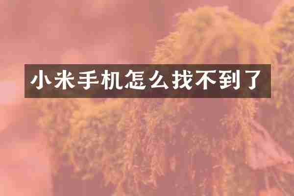 小米手机怎么找不到了