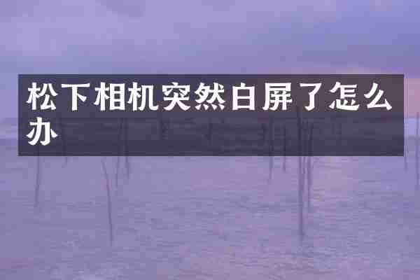相机突然白屏了怎么办