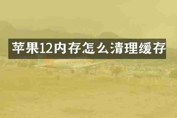 苹果12内存怎么清理缓存