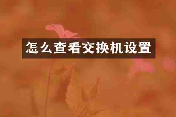 怎么查看交换机设置