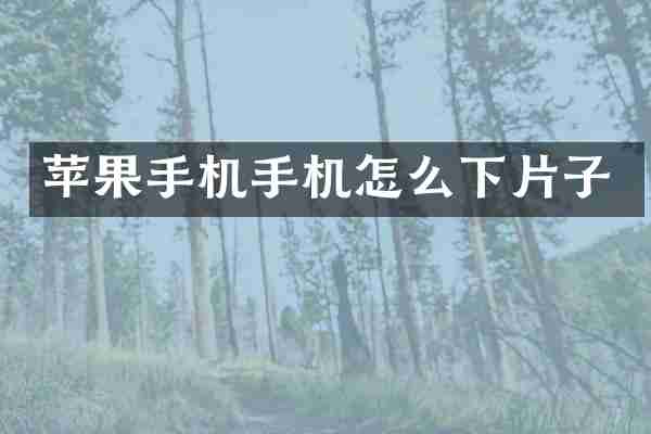 苹果手机手机怎么下片子