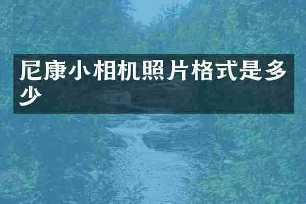 尼康小相机照片格式是多少