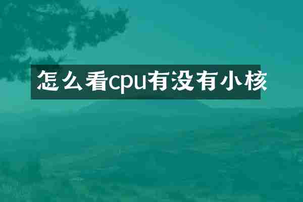 怎么看cpu有没有小核