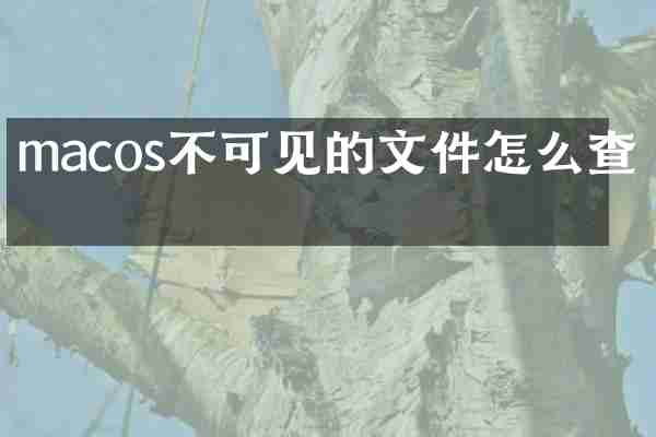 macos不可见的文件怎么查看