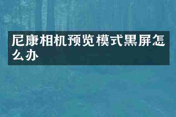 尼康相机预览模式黑屏怎么办