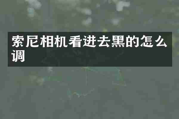 相机看进去黑的怎么调