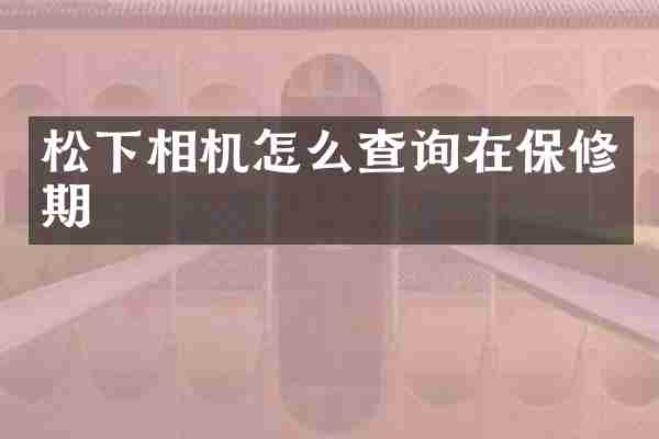 相机怎么查询在保修期