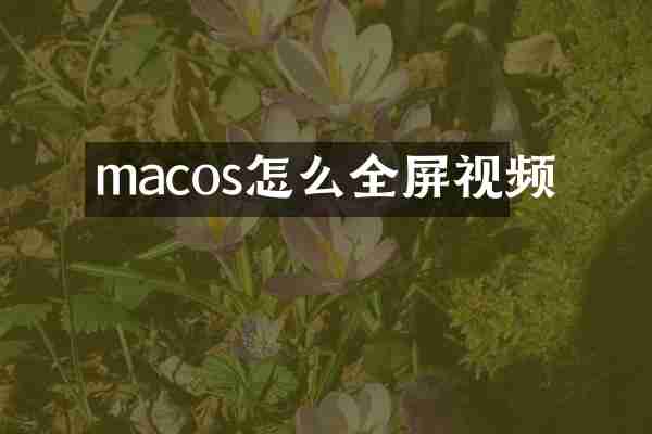macos怎么全屏视频