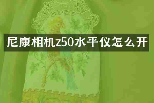 尼康相机z50水平仪怎么开