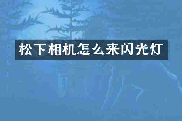 松下相机怎么来闪光灯