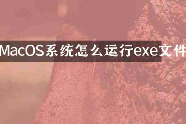 MacOS系统怎么运行exe文件