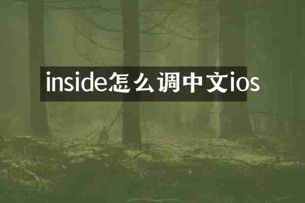 inside怎么调中文ios