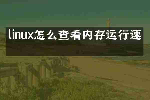 linux怎么查看内存运行速度