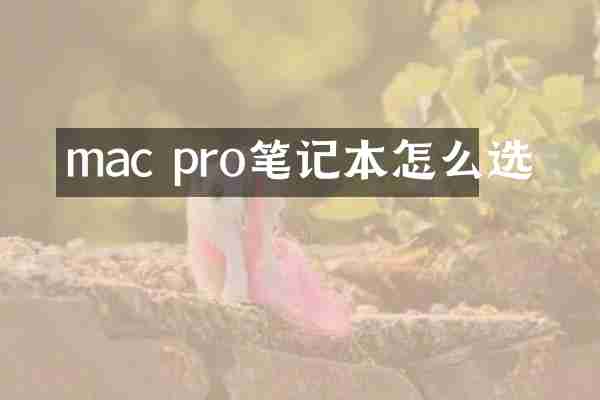 mac pro笔记本怎么选