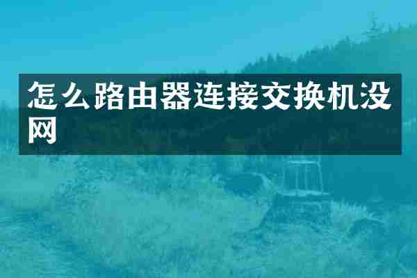 怎么路由器连接交换机没网