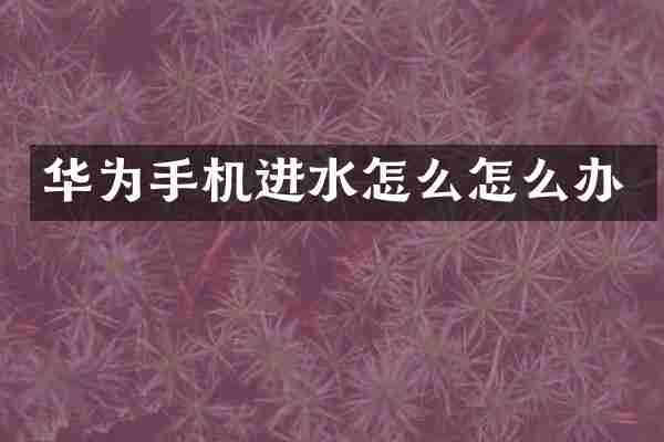 华为手机进水怎么怎么办