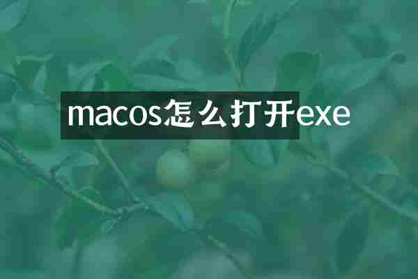 macos怎么打开exe