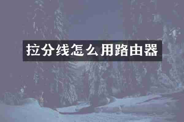 拉分线怎么用路由器