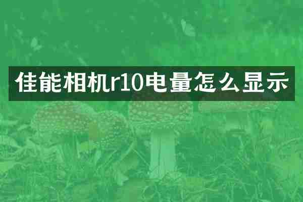 佳能相机r10电量怎么显示