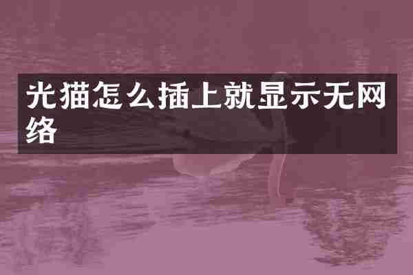 光猫怎么插上就显示无网络
