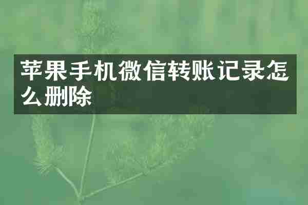 苹果手机微信转账记录怎么删除