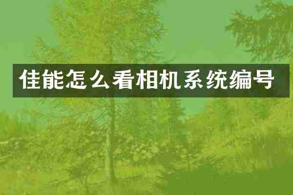 佳能怎么看相机系统编号