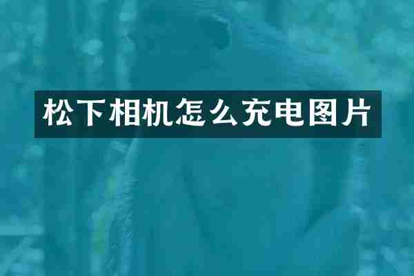 相机怎么充电图片