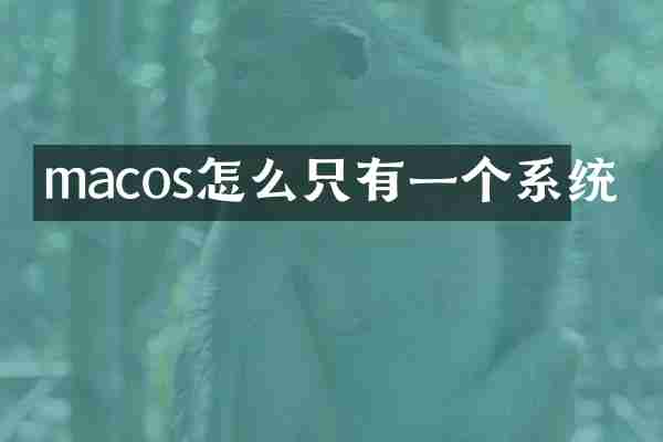 macos怎么只有一个系统