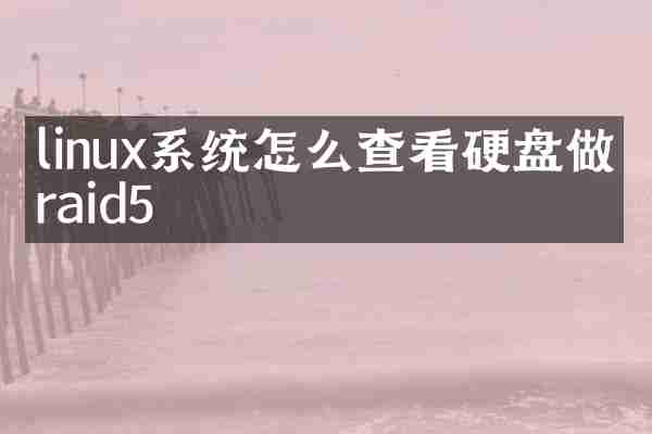 linux系统怎么查看硬盘做了raid5