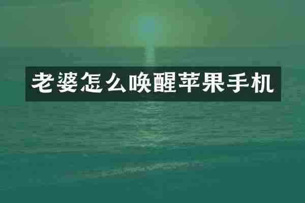 老婆怎么唤醒苹果手机