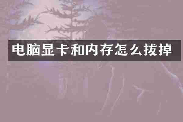 电脑显卡和内存怎么拔掉