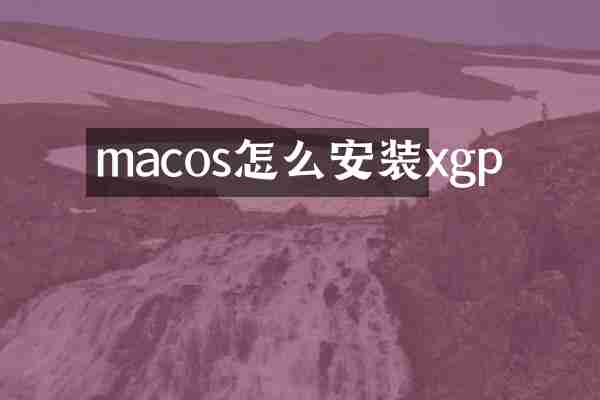 macos怎么安装xgp