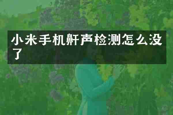 小米手机鼾声检测怎么没了