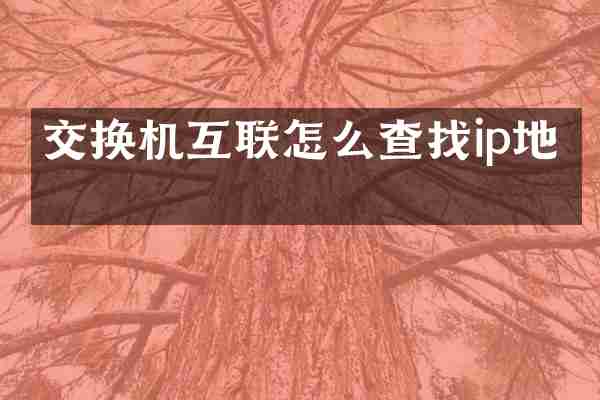 交换机互联怎么查找ip地址