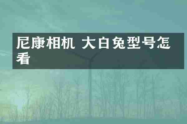 尼康相机 大白兔型号怎么看