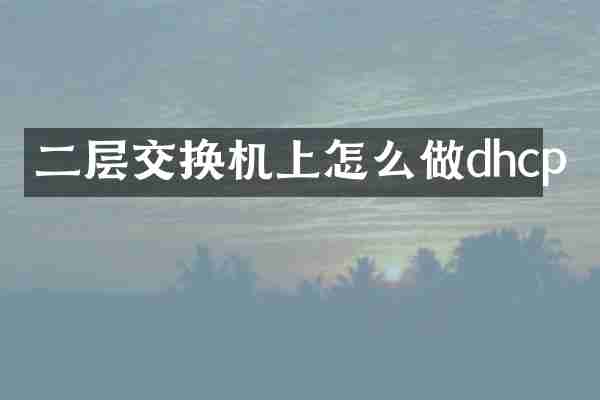 二层交换机上怎么做dhcp